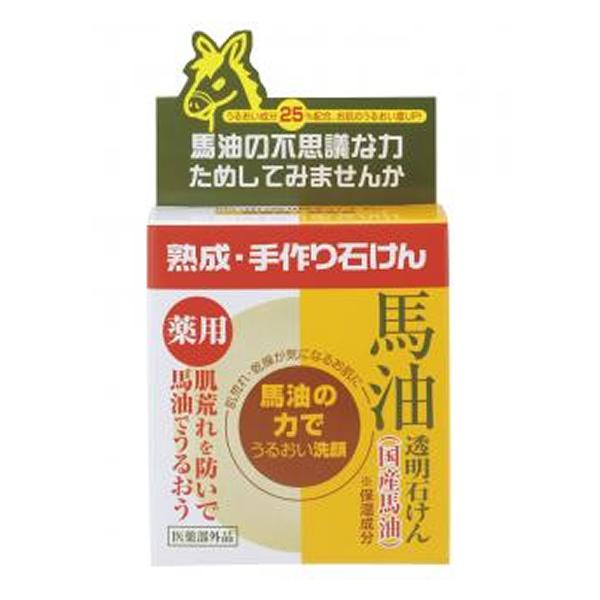 [[] pn΂ 100g(EΌEŌ`点)