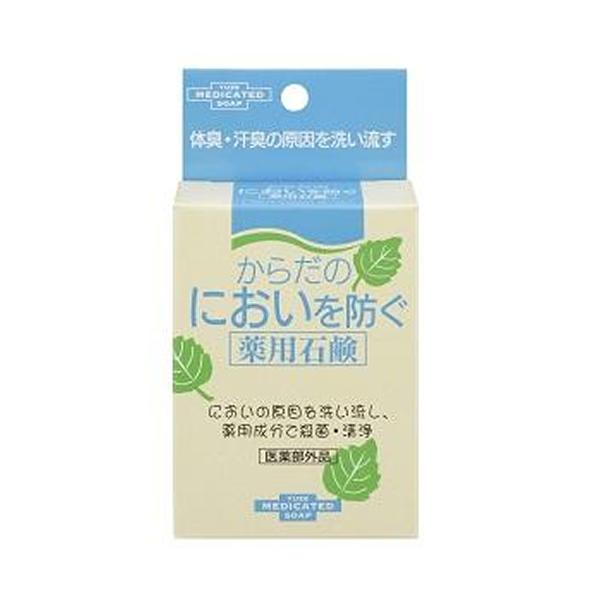 [[] 炾̂ɂhpΌ 110g ()