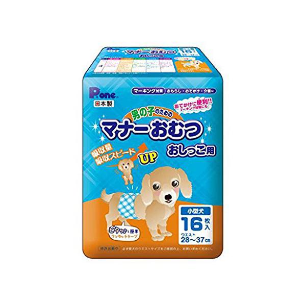 j̎qp}i[Ic IVbRp ^16