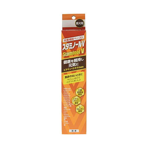 スタミノールV 100g