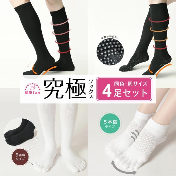 kenko-fan-nikko_137083