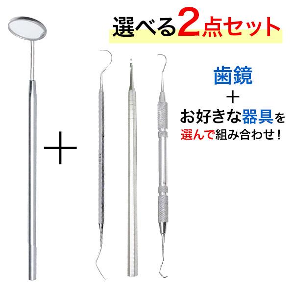 FRIGZ 一般医療機器 歯石除去セット ステンレス製 選べるセット