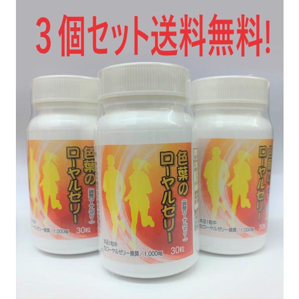 送料無料！３個セット