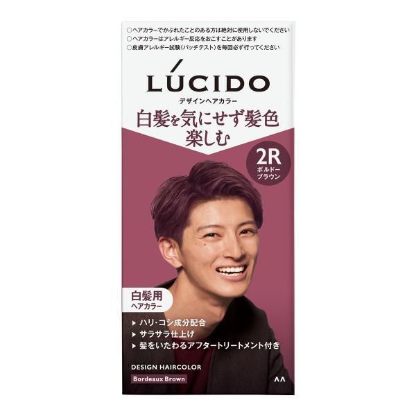LUCIDO（ルシード） (あわせ買い2999円以上で送料無料)マンダム