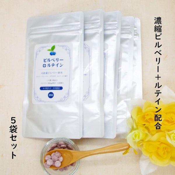 ビルベリー + ルテイン 60粒入【5袋セット】 1日量2粒にビルベリー 500mg ルテイン 9mg配合