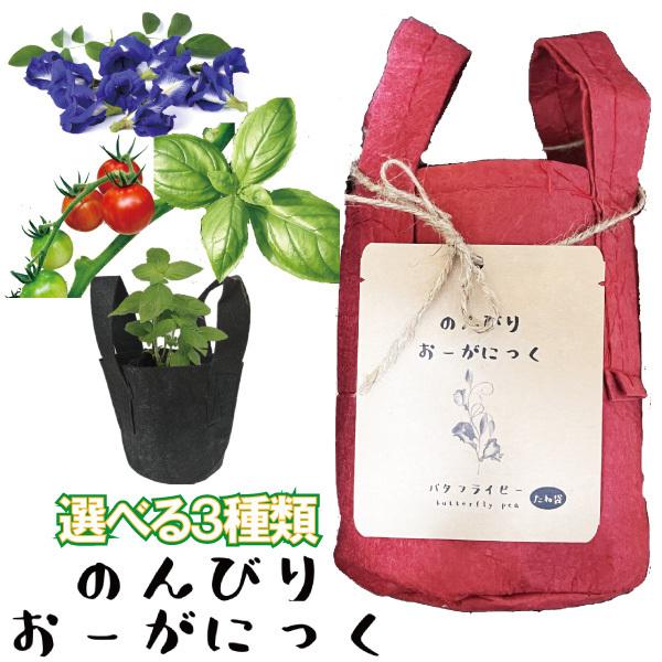 セット内容有機培養土プランター (スイートバジル 黒　/   プチトマト・バタフライピー 赤)　有機種子　選択いただいたセットで変わります。スイートバジル　有機種子　10粒　（アメリカ産）　発芽率５０％以上プチトマト　　　有機種子　 4粒　...