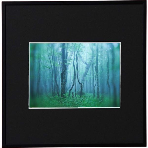 z Kenko M[ 2LXNGA ubN AGY-2LSQ-BK PR[gLi[ KENKO TOKINA z W W ʐ^W tHgt[