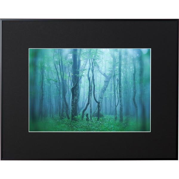 z Kenko M[  ubN AGY-H-BK PR[gLi[ KENKO TOKINA z W W ʐ^W tHgt[