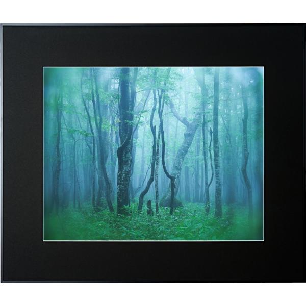 z Kenko M[ S ubN AGY-Z-BK PR[gLi[ KENKO TOKINA z W W ʐ^W tHgt[