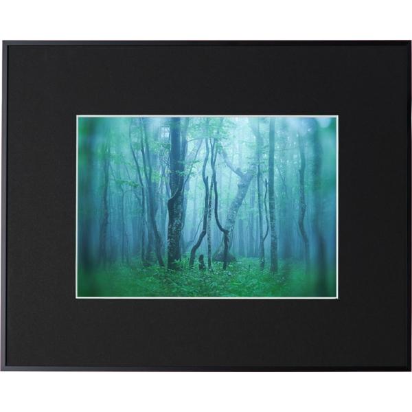 z Kenko M[ A4 ubN AGY-A4-BK PR[gLi[ KENKO TOKINA z W W ʐ^W tHgt[