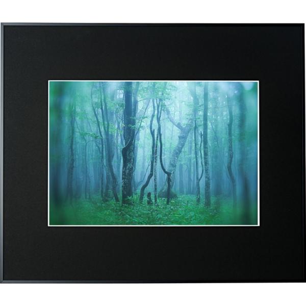 z Kenko M[ A3 ubN AGY-A3-BK PR[gLi[ KENKO TOKINA z W W ʐ^W tHgt[