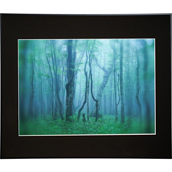 z Kenko M[ A2 ubN AGY-A2-BK PR[gLi[ KENKO TOKINA z W W ʐ^W tHgt[