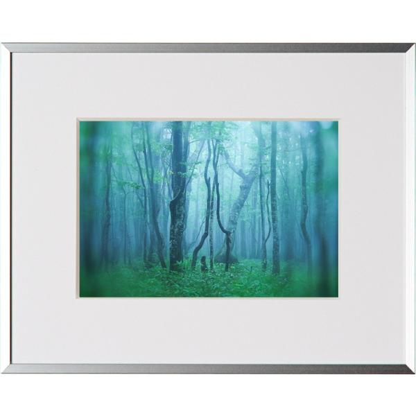 z Kenko M[ 2L Vo[ AGY-2L-SV PR[gLi[ KENKO TOKINA z W W ʐ^W tHgt[