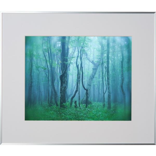 z Kenko M[  Vo[ AGY-H-SV PR[gLi[ KENKO TOKINA z W W ʐ^W tHgt[