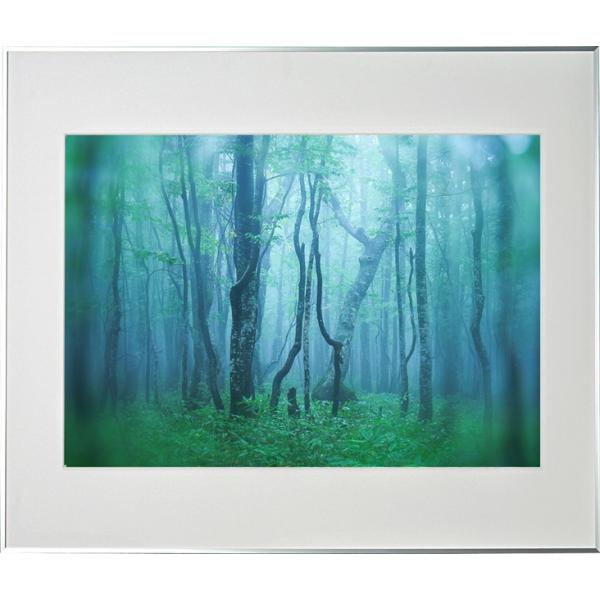 z Kenko M[ A2 Vo[ AGY-A2-SV PR[gLi[ KENKO TOKINA z W W ʐ^W tHgt[