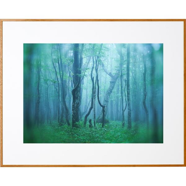 z Kenko M[ Chl i` AGY-W4-NAPR[gLi[ KENKO TOKINA z W W ʐ^W tHgt[