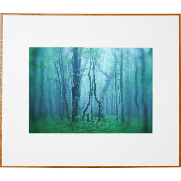 z Kenko M[ A3 i` AGY-A3-NA PR[gLi[ KENKO TOKINA z W W ʐ^W tHgt[