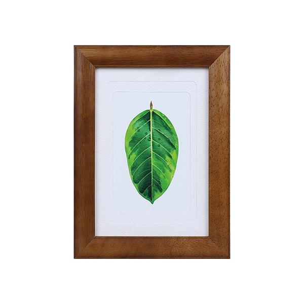 z Kenko ʐ^ S̖ uE PS-GM-BR PR[gLi[ KENKO TOKINA