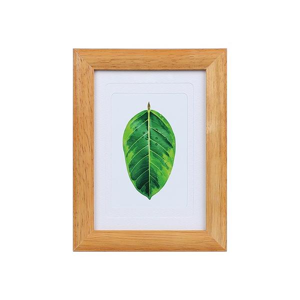 z Kenko ʐ^ S̖ `[N PS-GM-TI PR[gLi[ KENKO TOKINA