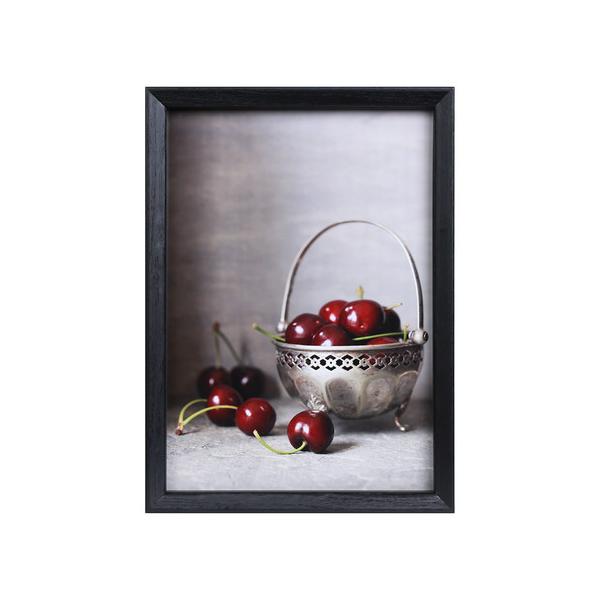 z Kenko ʐ^ xWF ubN A4TCY PS-BE-A4-BK PR[gLi[ KENKO TOKINA