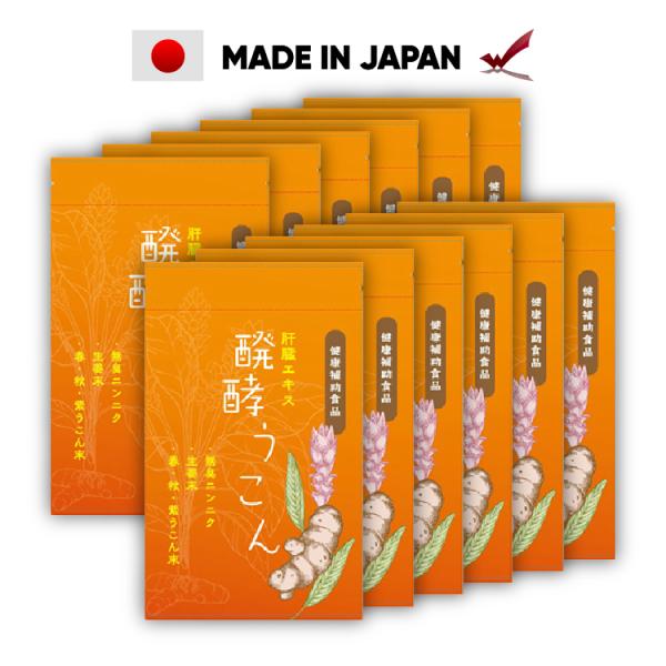 醗酵うこん サプリ 肝臓加水分解物 300mg 醗酵ウコン 230mg にんにく ショウガ 渡邊薬品 飲酒サポート 1780円  12袋　