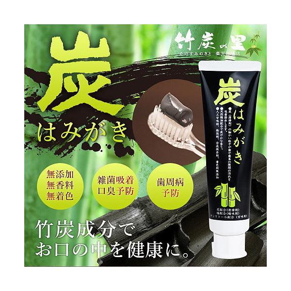 竹炭の里 炭はみがき 100g×12本 送料無料 炭の吸着成分が歯垢やニオイを吸着＆除去 研磨剤・人工甘味料・合成界面活性剤・合成着色料・発泡剤不使用