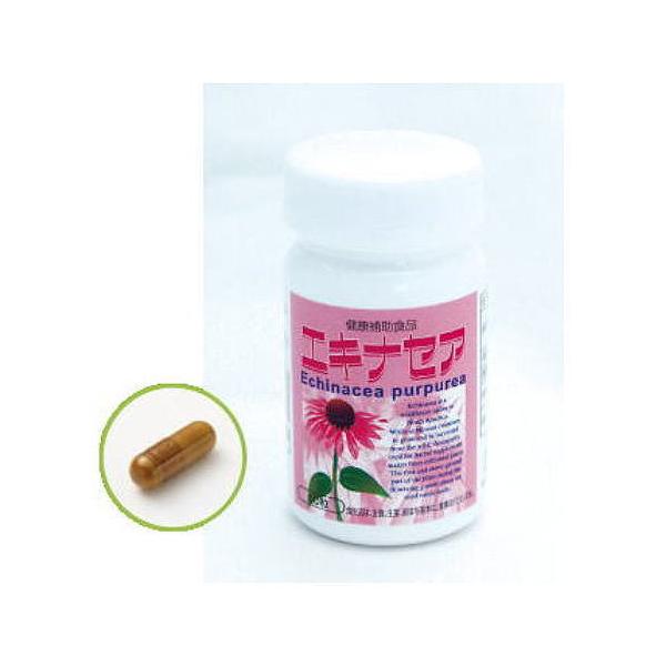 【商品説明】「エキナセア」は、無農薬栽培のヨーロッパ産エキナセアプルプレア種の活性の良い開花期地上部と根を厳選し、水とエタノールを用いて高濃度に濃縮し、抽出したエキスをスプレードライ製法で粉末化したものをハードカプセルに充填しています。また...