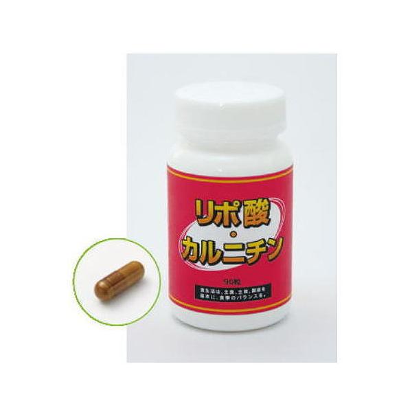 ダイエット サプリ リポ酸カルニチン 90粒 ф 1日6粒中Ｌ-カルニチン600mg/α-リポ酸200mg お腹周りが気になる方 アスリートにも エンタプライズ