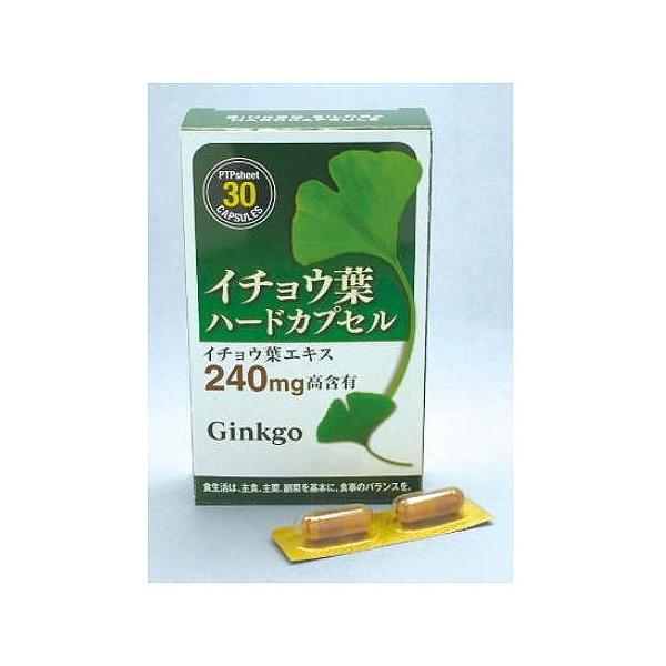 C`EtGLX Tv 30JvZ×2  iC`EtGLX1240mgܗL t{mChMRChȂǖLx G^vCY