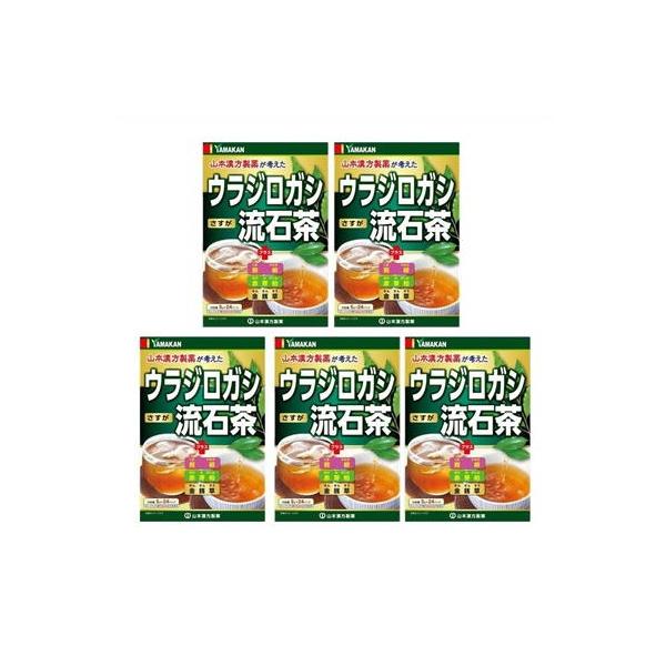 送料無料 ▲［5個セット］ウラジロガシ流石茶　5g×24包×5個 ●翌日配達「あすつく」対象商品（休業日を除く）●
