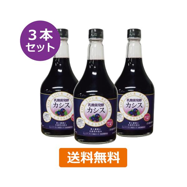 乳酸菌発酵カシス 565ml×3本セット※送料無料（一部地域を除く） ※同梱・キャンセル・ラッピング不可