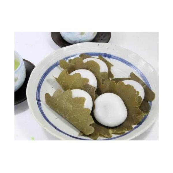 【日岡商事冷凍直送】かしわもち・白（２5０ｇ（5個入））※30袋未満送料1188円・30袋以上送料324円（一部地域別途必要）・代引・同梱不可