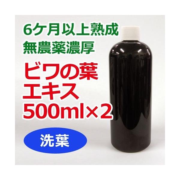 6Pȏn _Zr̗tGLXitj500ml×2{Zbg NT|[gXIWi