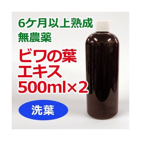 6Pȏn _r̗tGLXitj500ml×2{Zbg NT|[gXIWi yftiтtjGLXz