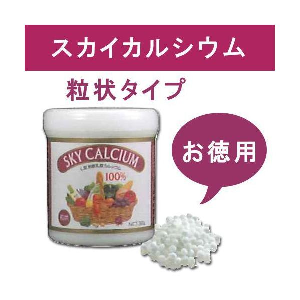 【★安心の定価販売★】 スカイカルシウム粒状 （360g） ※送料無料 【スカイ・フード】 サプリメント・ビタミン