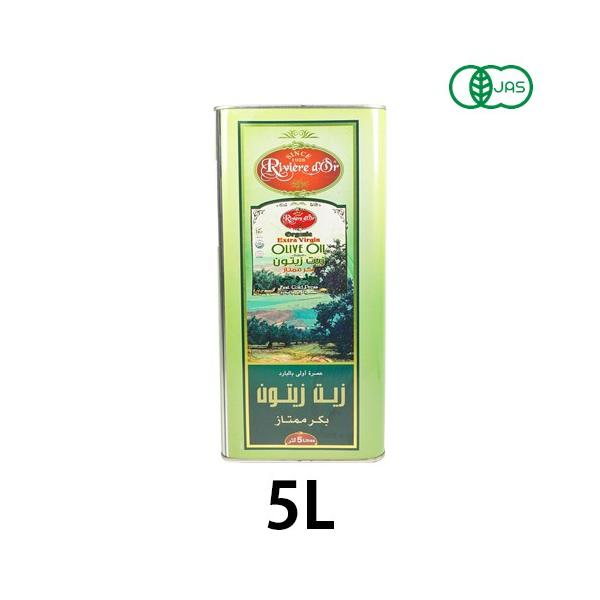 ƖpL@I[uIC 5Li`jWAYjLZsiꕔnj