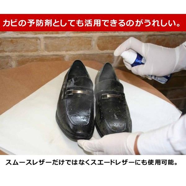 靴クリーナー カビ防止 スプレー レザー スエード M Mowbray ｍ モゥブレィ モウブレイ プレステージ モールドクリーナー 100ml Buyee Buyee Japanese Proxy Service Buy From Japan Bot Online
