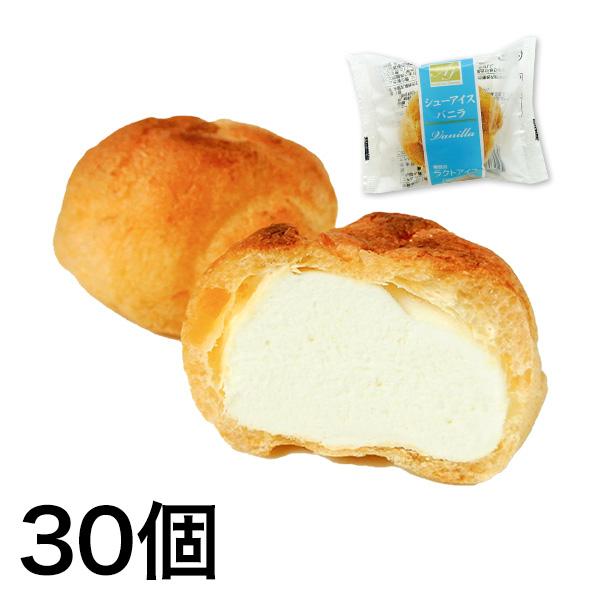 シューアイス アイス あのアンデイコの4種「おいしいシューアイス」 30個 アンデイコ 栄屋乳業 スイーツ あいす しゅーあいす 快適生活