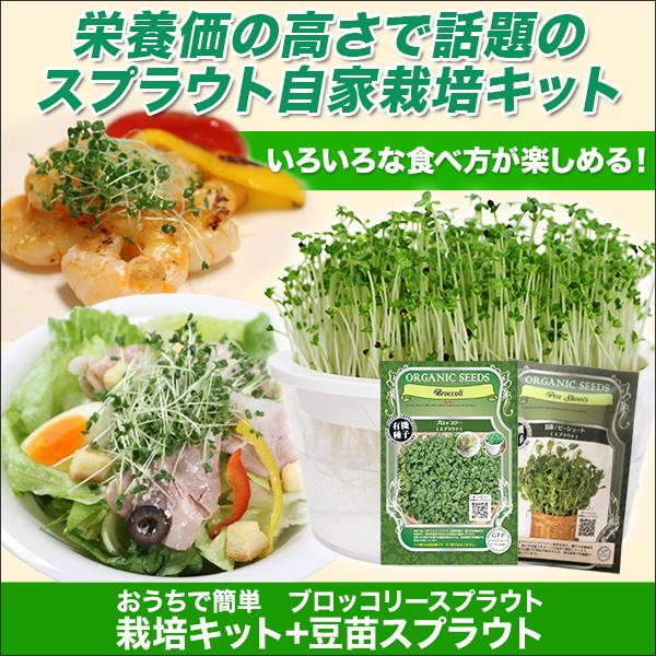 快適生活 おうちで簡単 ブロッコリースプラウト栽培キット 豆苗スプラウト 快適生活オンラインpaypayモール店 通販 Paypayモール