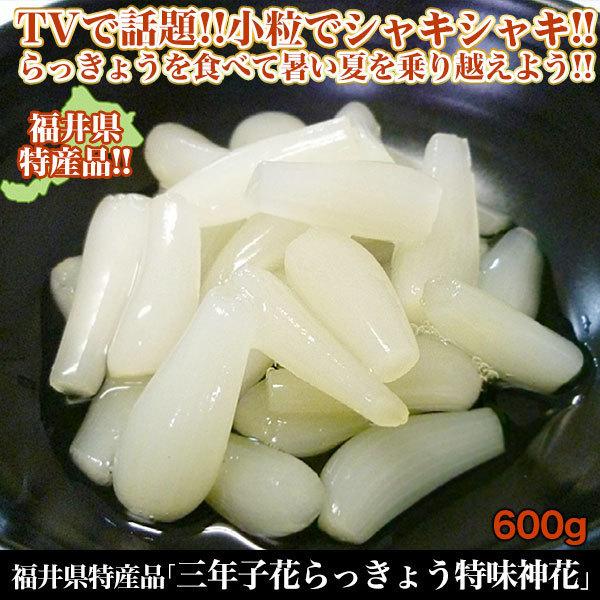 福井県特産品 三年子花らっきょう特味神花 600g 快適生活オンラインpaypayモール店 通販 Paypayモール