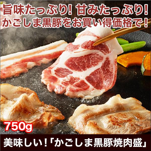 快適生活 美味しい かごしま黒豚焼肉盛 750g 快適生活オンラインpaypayモール店 通販 Paypayモール