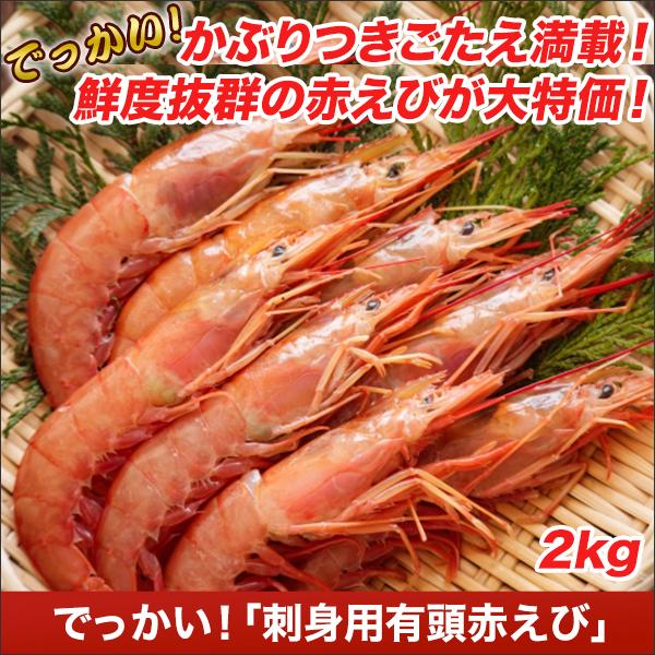 エビ 赤エビ 頭の人気商品・通販・価格比較 - 価格.com エビ 赤エビ 頭の人気商品・通販・価格比較 - 価格.com