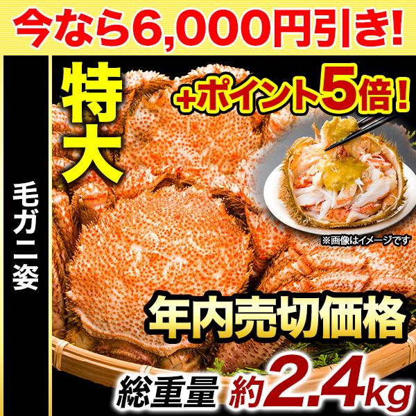 2.4kg かに カニ 蟹 毛ガニ 毛がに 毛蟹 けがに かに味噌 蟹みそ 味噌