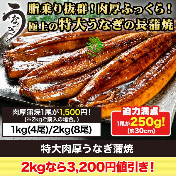 ウナギ 鰻 快適生活 特大肉厚うなぎ蒲焼 2kg(8尾) 肉厚 タレ かばやき