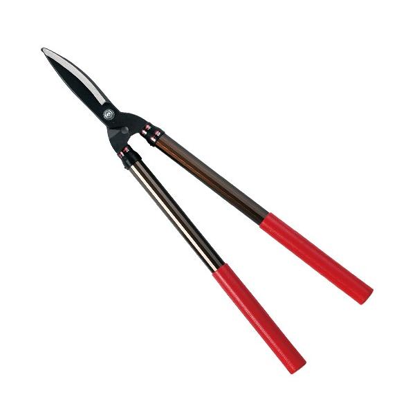 yd|uz[EG|1000] (4977292634892) Lk͌^@ 荞 }؂   뉀Ǘ ~n 