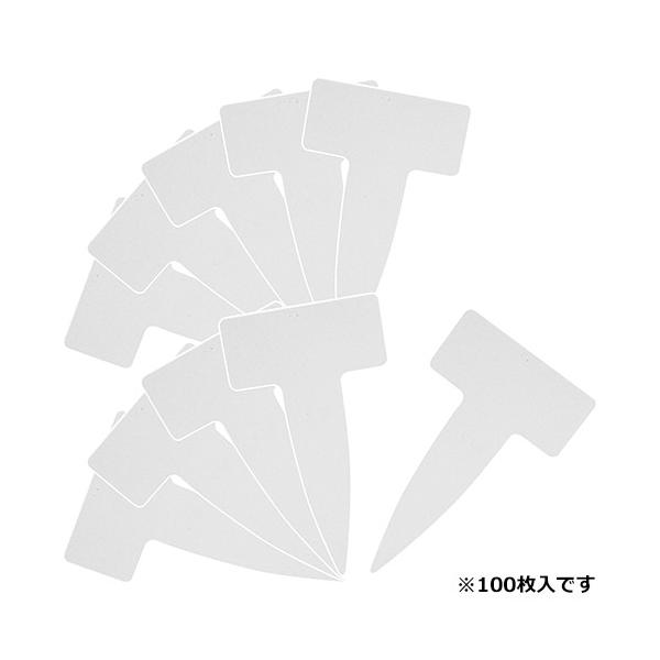 yZteB|3z[_C] (4977292639514) |px@s^100@l[v[g   뉀Ǘ ~n  z y