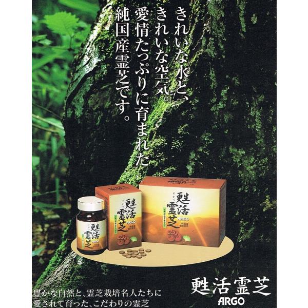 SŁiꂢjYŎgpEC`EtGLXROO180×Q