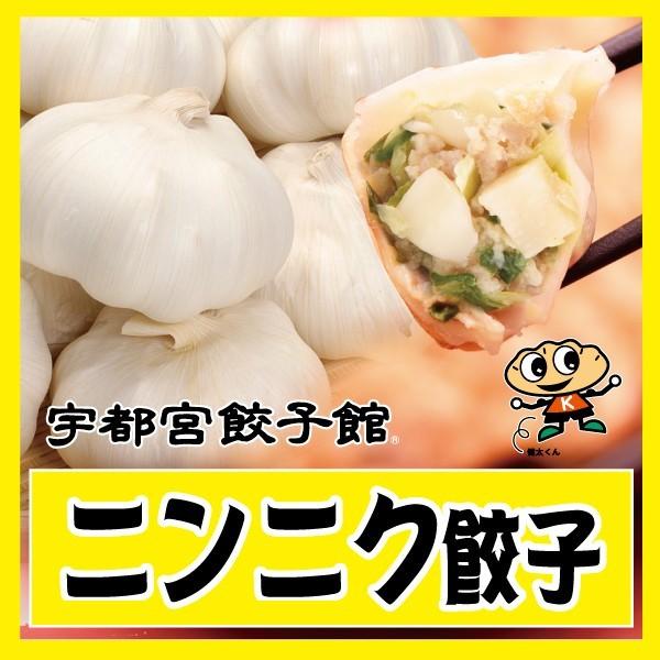 宇都宮餃子館 ニンニク餃子 Garlic 健太餃子館 通販 Yahoo ショッピング