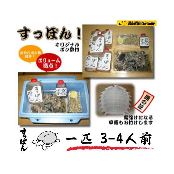 スッポン ポン酢 関連商品検索 世界の麺料理