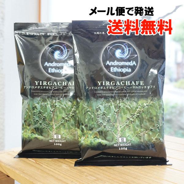 2袋セット アンドロメダエチオピアコーヒー イルガチェフェ ヤルガッチャフェ 豆 100g×2袋 NPO高麗 メール便の場合、送料無料 モカ 野生種 ワイルド 無農薬
